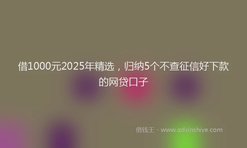 借1000元2025年精选，归纳5个不查征信好下款的网贷口子