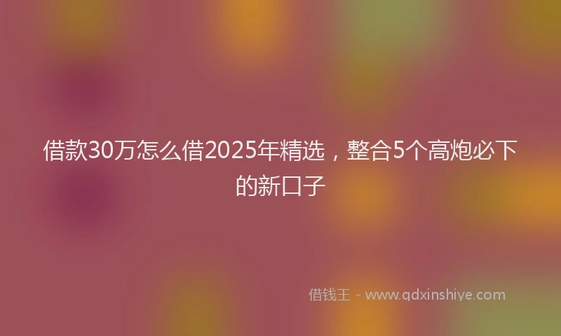借款30万怎么借2025年精选，整合5个高炮必下的新口子