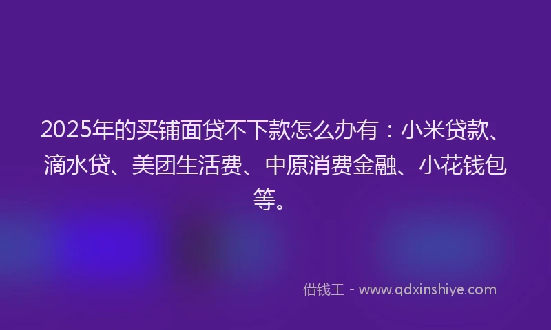2025年的买铺面贷不下款怎么办有：小米贷款、滴水贷、美团生活费、中原消费金融、小花钱包等。