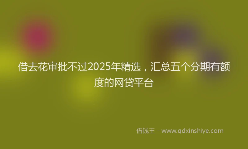 借去花审批不过2025年精选，汇总五个分期有额度的网贷平台