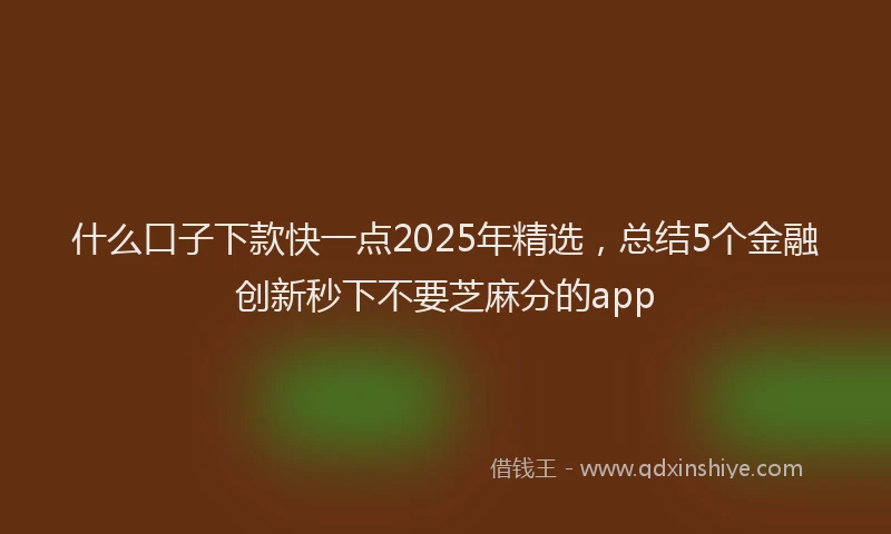 什么口子下款快一点2025年精选，总结5个金融创新秒下不要芝麻分的app