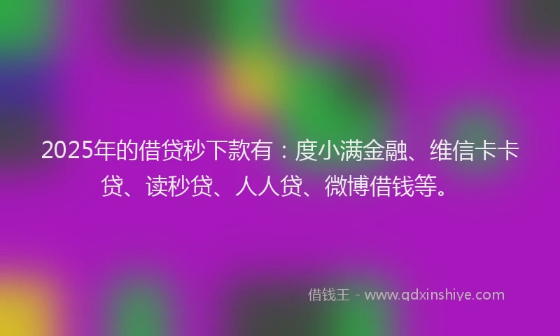 2025年的借贷秒下款有：度小满金融、维信卡卡贷、读秒贷、人人贷、微博借钱等。