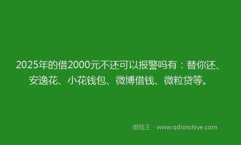 2025年的借2000元不还可以报警吗有：替你还、安逸花、小花钱包、微博借钱、微粒贷等。