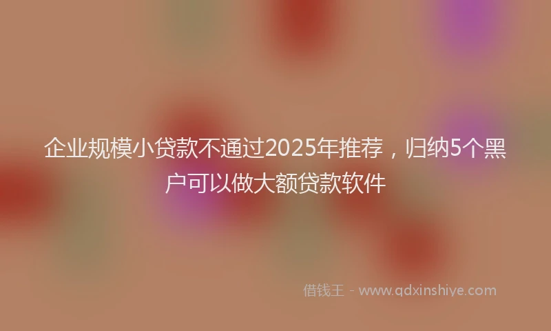 企业规模小贷款不通过2025年推荐，归纳5个黑户可以做大额贷款软件