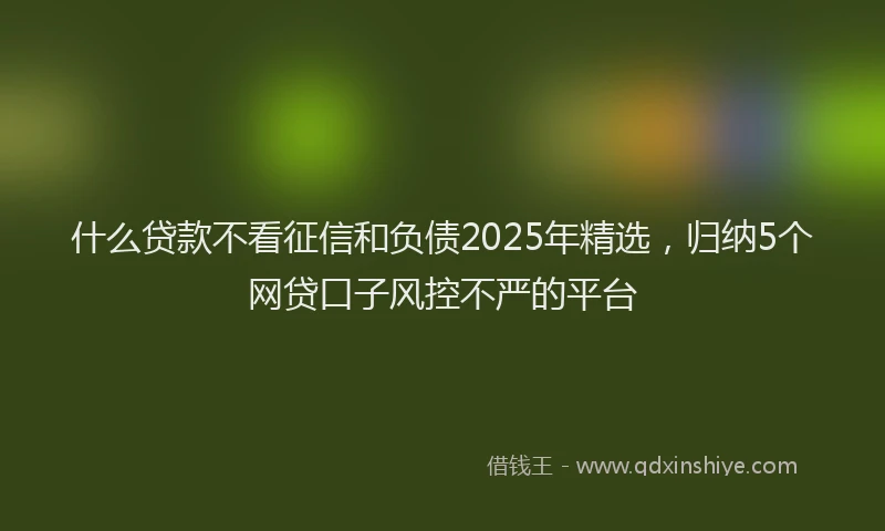 什么贷款不看征信和负债2025年精选，归纳5个网贷口子风控不严的平台