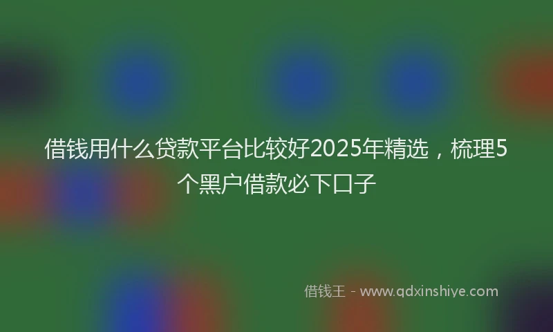 借钱用什么贷款平台比较好2025年精选，梳理5个黑户借款必下口子