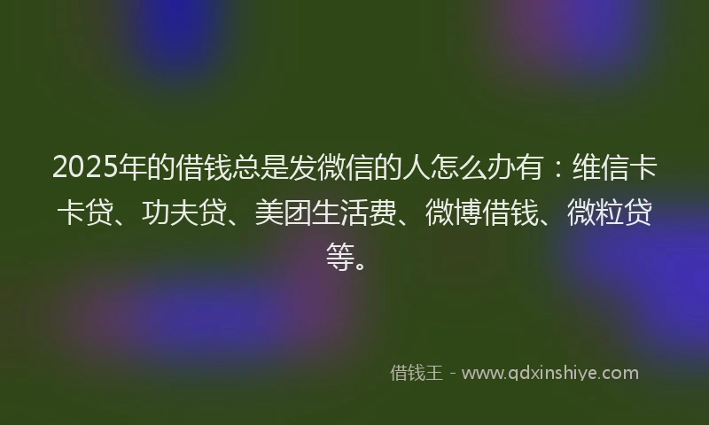 2025年的借钱总是发微信的人怎么办有：维信卡卡贷、功夫贷、美团生活费、微博借钱、微粒贷等。