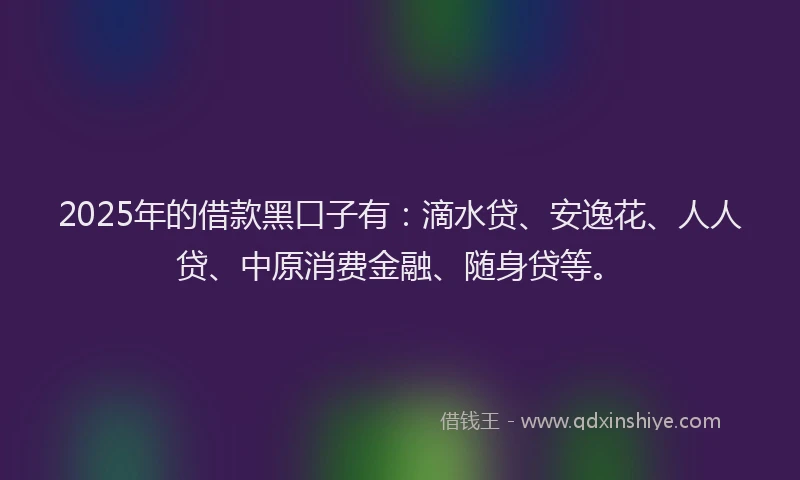 2025年的借款黑口子有：滴水贷、安逸花、人人贷、中原消费金融、随身贷等。