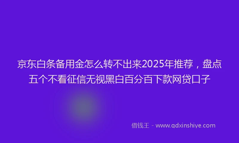 京东白条备用金怎么转不出来2025年推荐，盘点五个不看征信无视黑白百分百下款网贷口子
