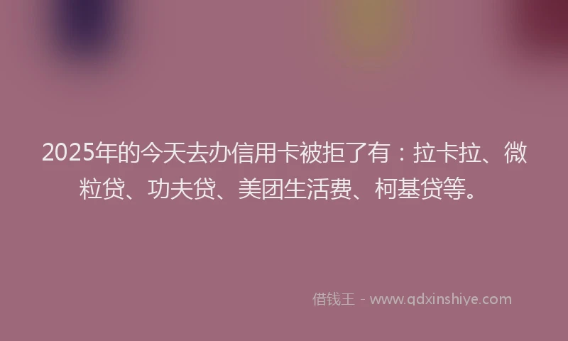 2025年的今天去办信用卡被拒了有：拉卡拉、微粒贷、功夫贷、美团生活费、柯基贷等。