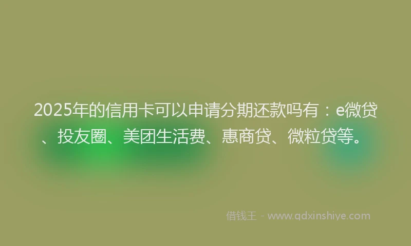 2025年的信用卡可以申请分期还款吗有：e微贷、投友圈、美团生活费、惠商贷、微粒贷等。