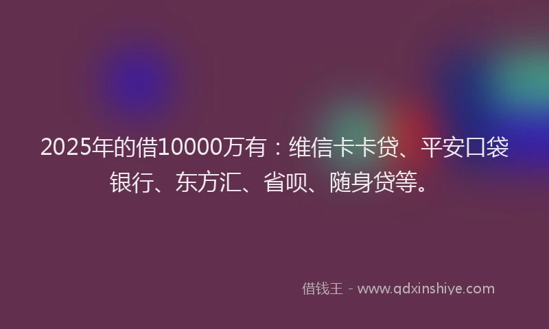 2025年的借10000万有：维信卡卡贷、平安口袋银行、东方汇、省呗、随身贷等。