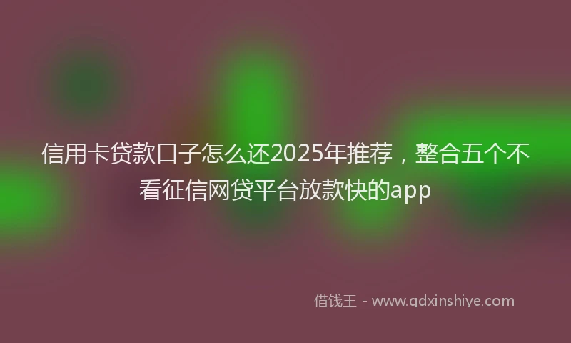 信用卡贷款口子怎么还2025年推荐，整合五个不看征信网贷平台放款快的app