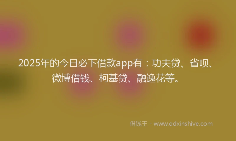 2025年的今日必下借款app有：功夫贷、省呗、微博借钱、柯基贷、融逸花等。