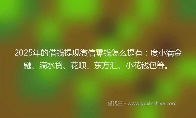 2025年的借钱提现微信零钱怎么提有：度小满金融、滴水贷、花呗、东方汇、小花钱包等。