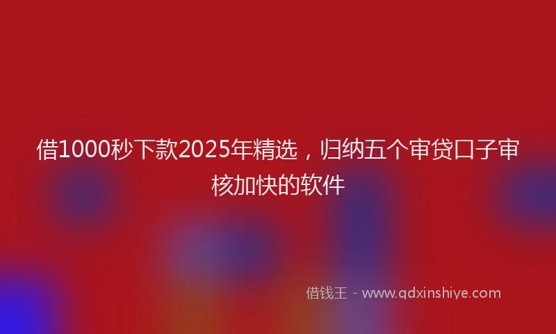 借1000秒下款2025年精选，归纳五个审贷口子审核加快的软件