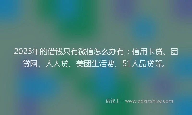 2025年的借钱只有微信怎么办有：信用卡贷、团贷网、人人贷、美团生活费、51人品贷等。