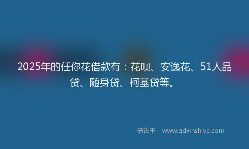 2025年的任你花借款有：花呗、安逸花、51人品贷、随身贷、柯基贷等。