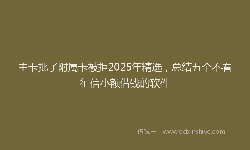主卡批了附属卡被拒2025年精选，总结五个不看征信小额借钱的软件