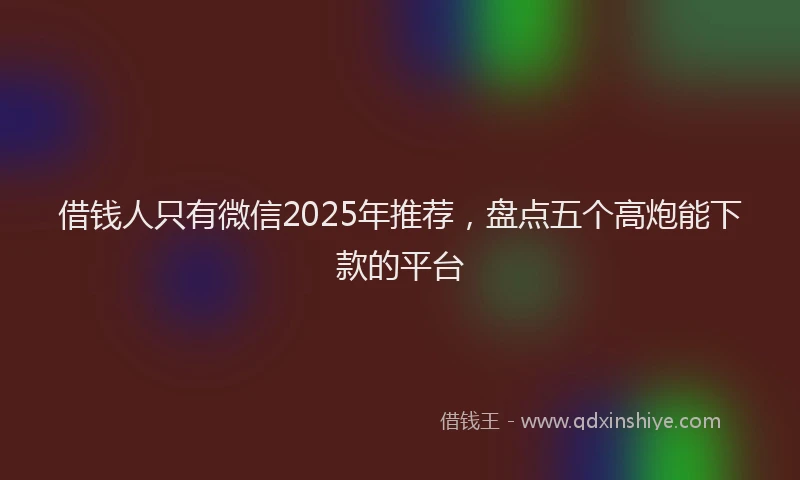 借钱人只有微信2025年推荐，盘点五个高炮能下款的平台