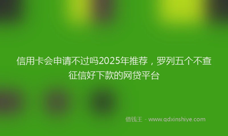 信用卡会申请不过吗2025年推荐，罗列五个不查征信好下款的网贷平台