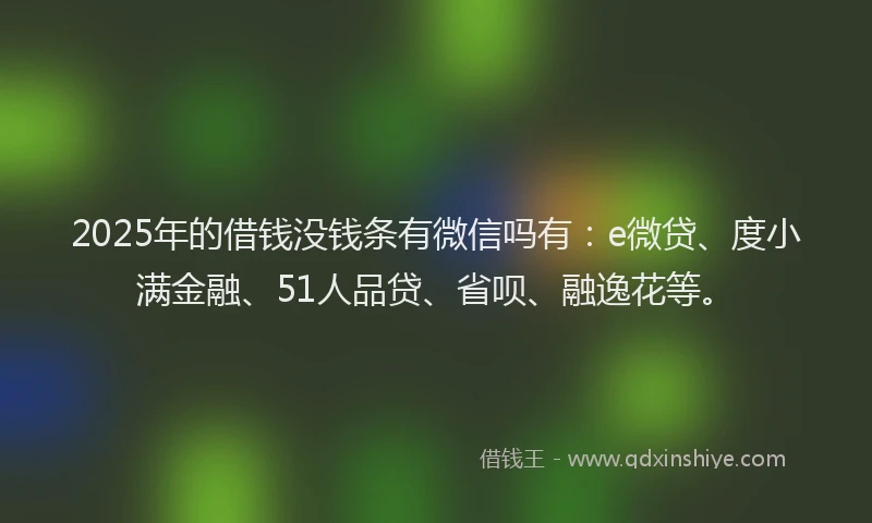 2025年的借钱没钱条有微信吗有：e微贷、度小满金融、51人品贷、省呗、融逸花等。