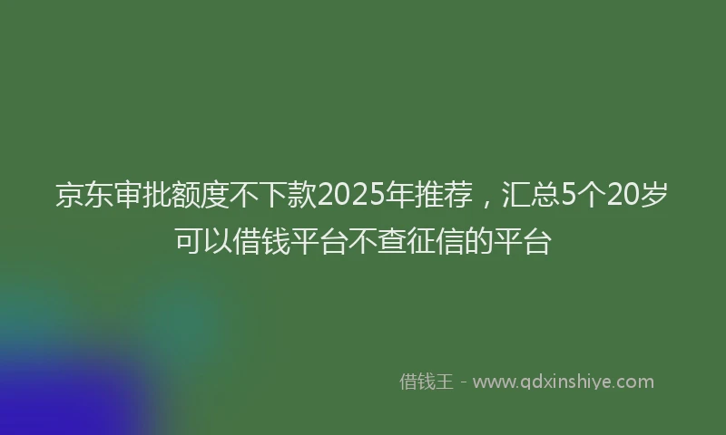 京东审批额度不下款2025年推荐，汇总5个20岁可以借钱平台不查征信的平台