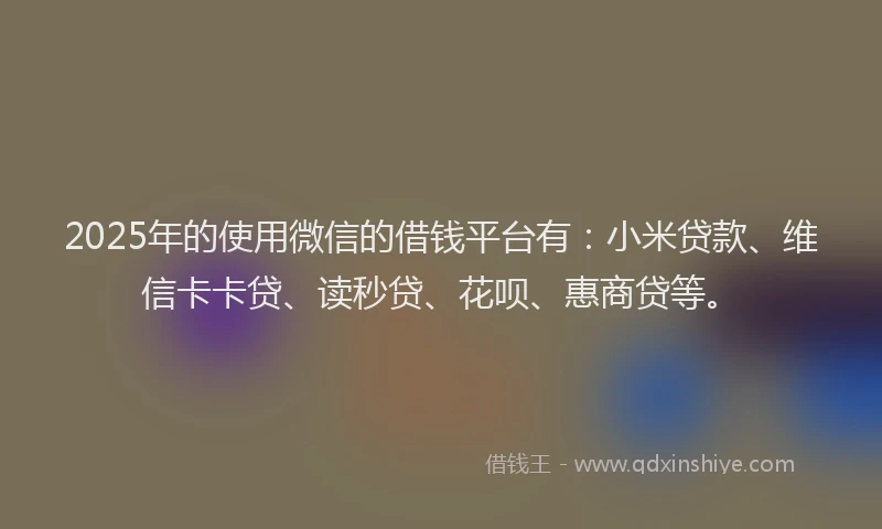 2025年的使用微信的借钱平台有：小米贷款、维信卡卡贷、读秒贷、花呗、惠商贷等。