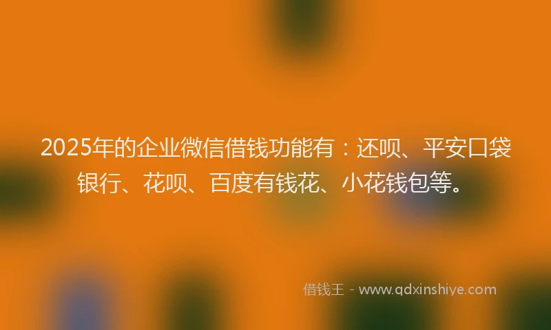 2025年的企业微信借钱功能有：还呗、平安口袋银行、花呗、百度有钱花、小花钱包等。