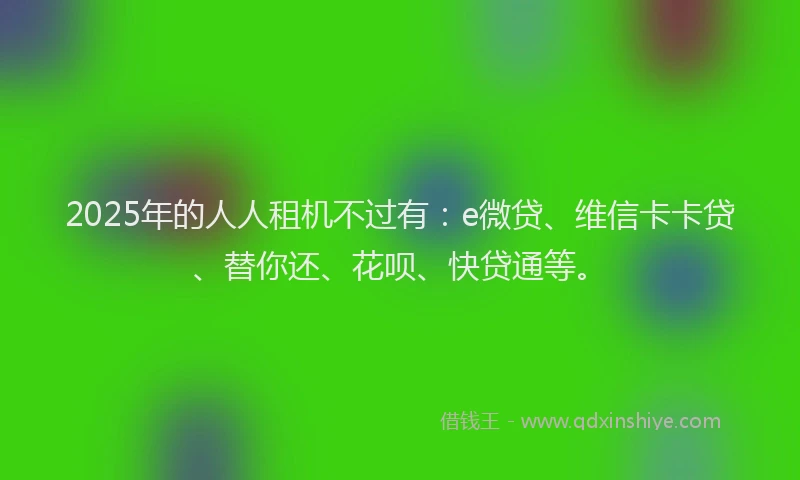 2025年的人人租机不过有：e微贷、维信卡卡贷、替你还、花呗、快贷通等。