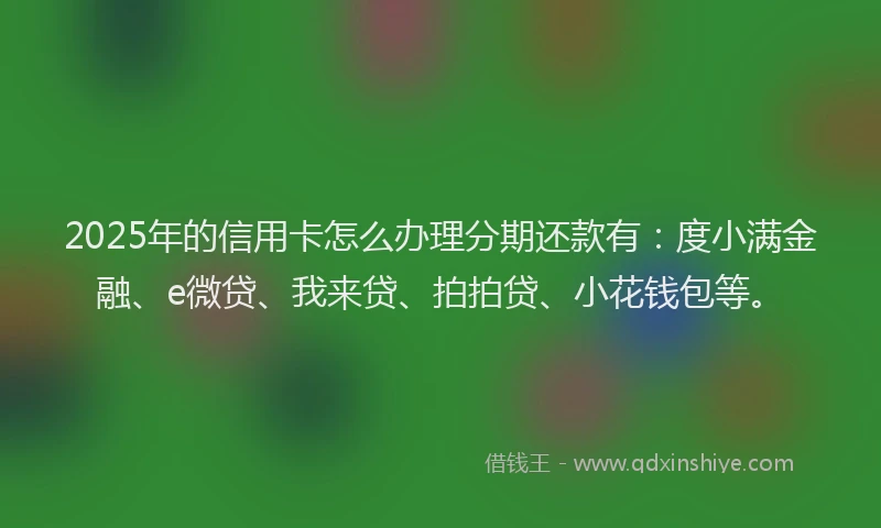 2025年的信用卡怎么办理分期还款有：度小满金融、e微贷、我来贷、拍拍贷、小花钱包等。