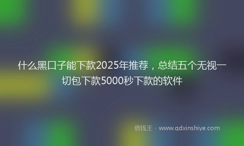 什么黑口子能下款2025年推荐，总结五个无视一切包下款5000秒下款的软件