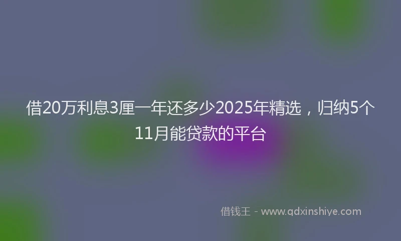 借20万利息3厘一年还多少2025年精选，归纳5个11月能贷款的平台