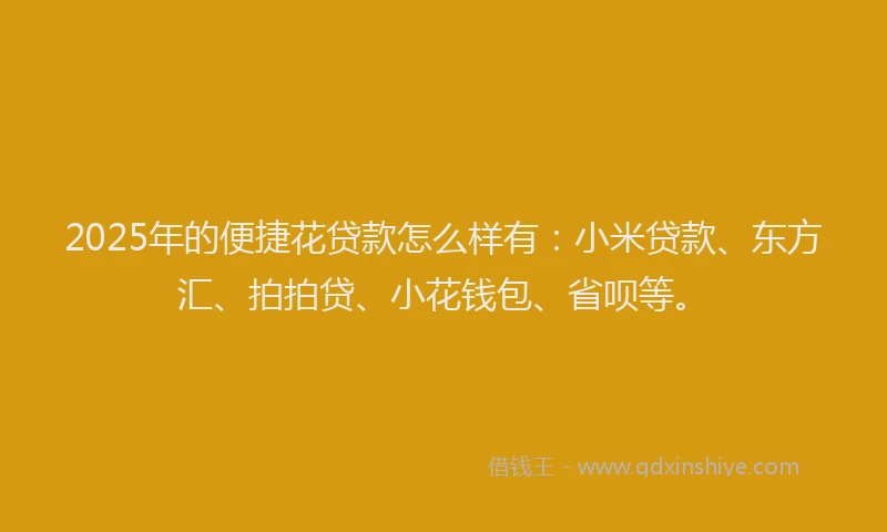 2025年的便捷花贷款怎么样有：小米贷款、东方汇、拍拍贷、小花钱包、省呗等。