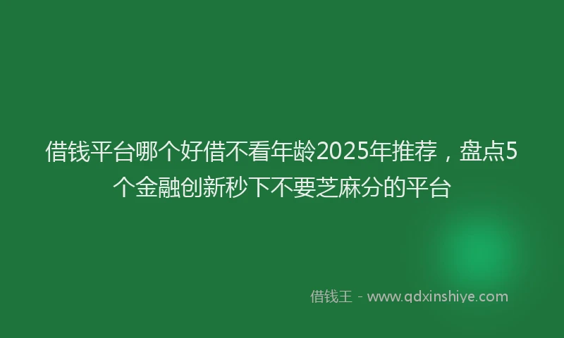借钱平台哪个好借不看年龄2025年推荐，盘点5个金融创新秒下不要芝麻分的平台