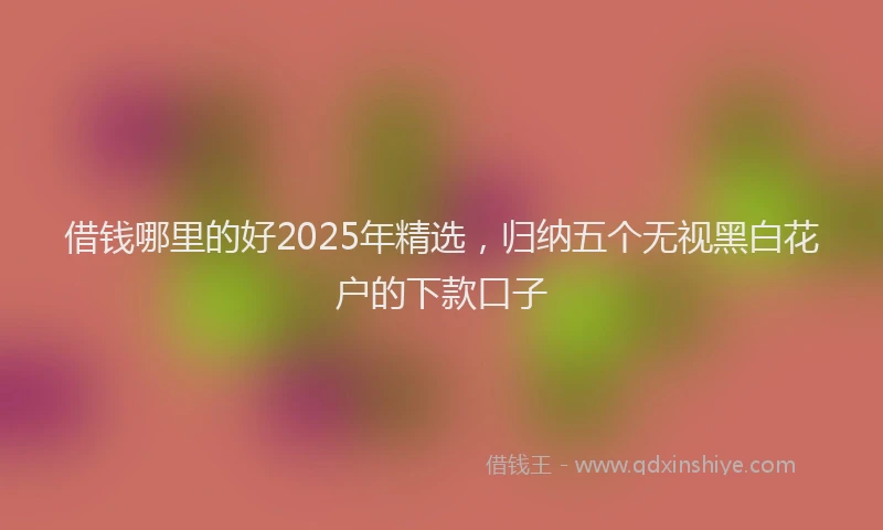 借钱哪里的好2025年精选，归纳五个无视黑白花户的下款口子