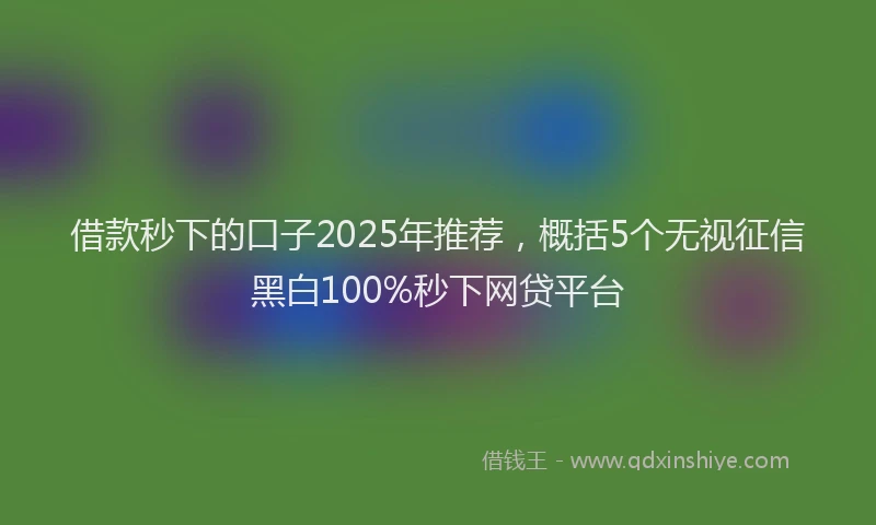 借款秒下的口子2025年推荐，概括5个无视征信黑白100%秒下网贷平台