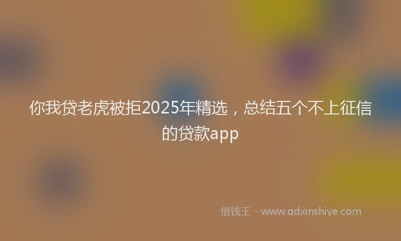 你我贷老虎被拒2025年精选，总结五个不上征信的贷款app
