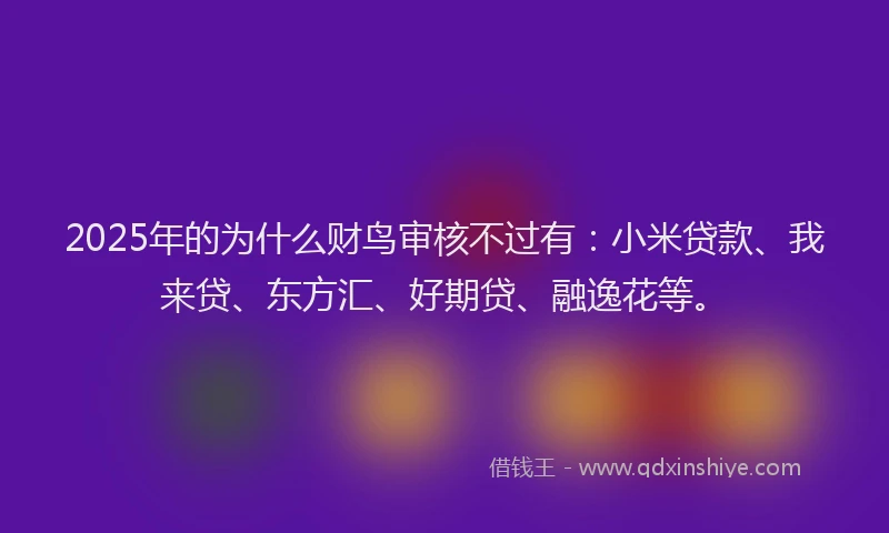 2025年的为什么财鸟审核不过有：小米贷款、我来贷、东方汇、好期贷、融逸花等。