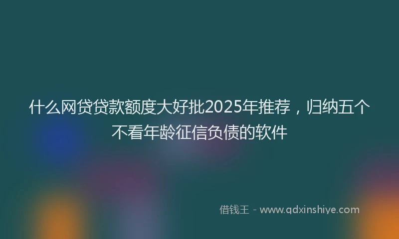 什么网贷贷款额度大好批2025年推荐，归纳五个不看年龄征信负债的软件