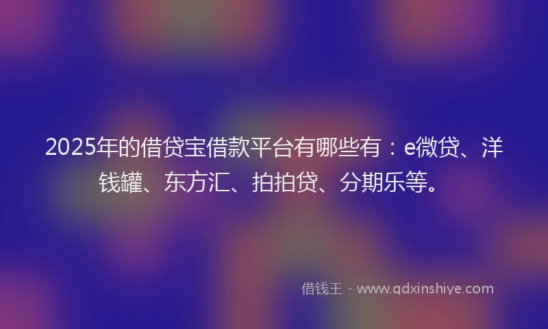 2025年的借贷宝借款平台有哪些有：e微贷、洋钱罐、东方汇、拍拍贷、分期乐等。