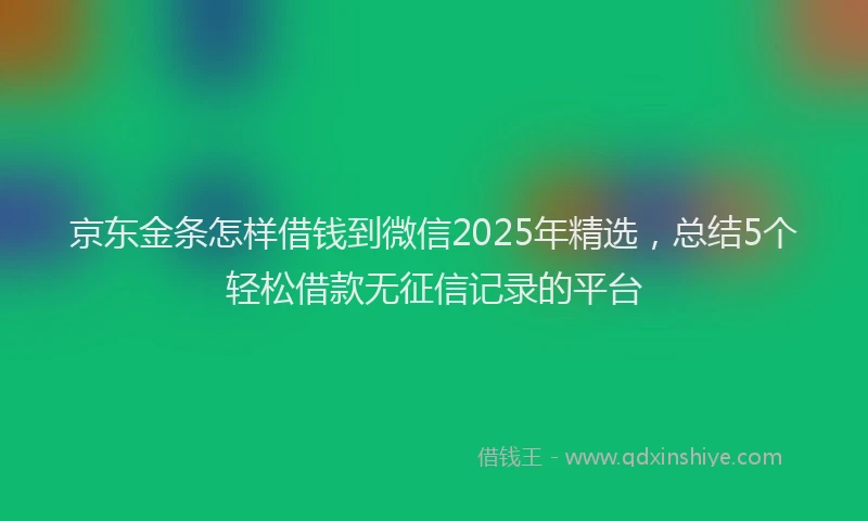 京东金条怎样借钱到微信2025年精选，总结5个轻松借款无征信记录的平台