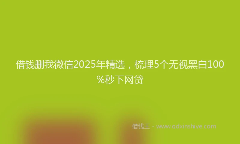 借钱删我微信2025年精选，梳理5个无视黑白100%秒下网贷