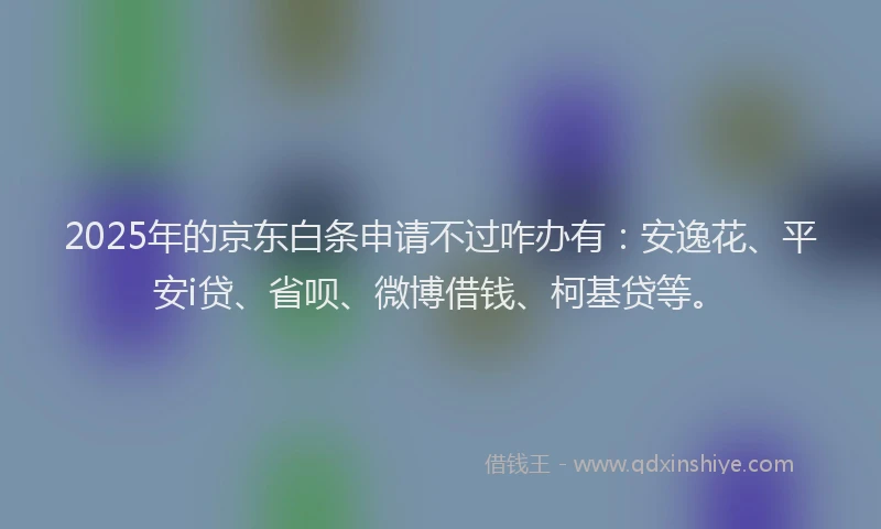 2025年的京东白条申请不过咋办有：安逸花、平安i贷、省呗、微博借钱、柯基贷等。