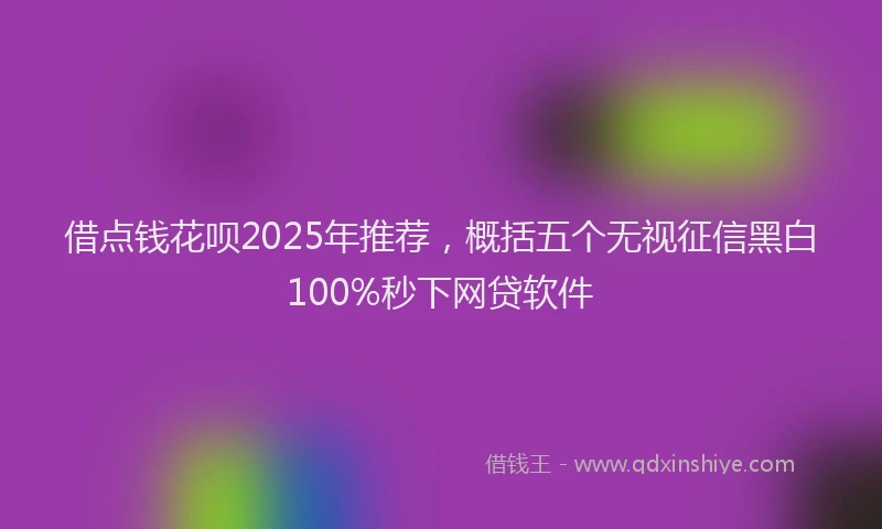 借点钱花呗2025年推荐，概括五个无视征信黑白100%秒下网贷软件