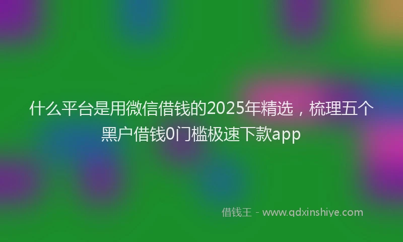 什么平台是用微信借钱的2025年精选，梳理五个黑户借钱0门槛极速下款app