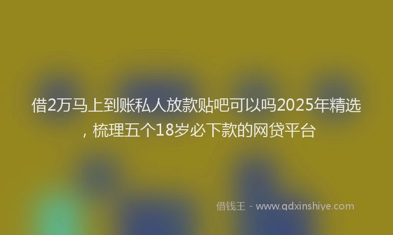 借2万马上到账私人放款贴吧可以吗2025年精选，梳理五个18岁必下款的网贷平台
