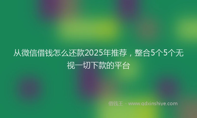从微信借钱怎么还款2025年推荐，整合5个5个无视一切下款的平台