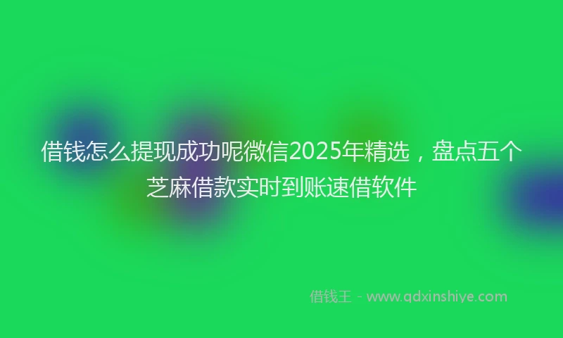 借钱怎么提现成功呢微信2025年精选，盘点五个芝麻借款实时到账速借软件