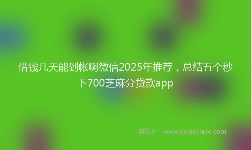 借钱几天能到帐啊微信2025年推荐，总结五个秒下700芝麻分贷款app